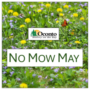 No Mow May 2025